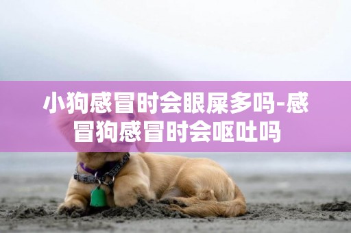 小狗感冒時會眼屎多嗎-感冒狗感冒時會嘔吐嗎
