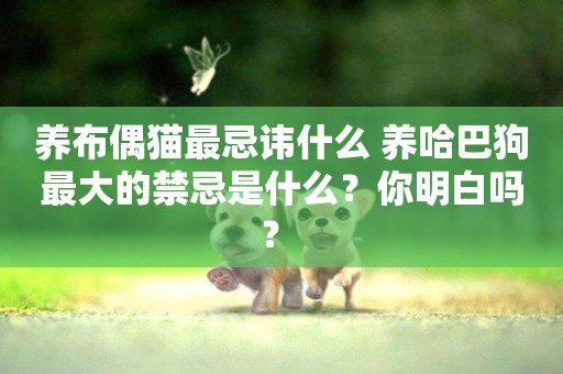 養布偶貓最忌諱什么 養哈巴狗最大的禁忌是什么？你明白嗎？ 