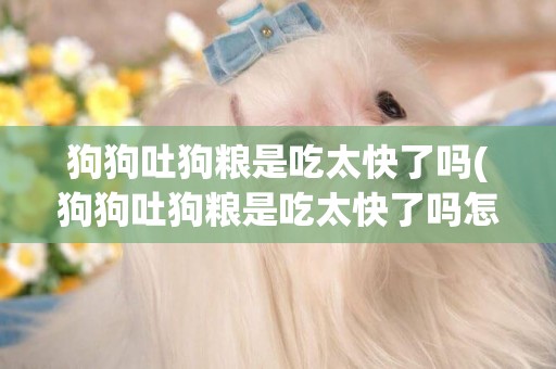 狗狗吐狗糧是吃太快了嗎(狗狗吐狗糧是吃太快了嗎怎么辦)