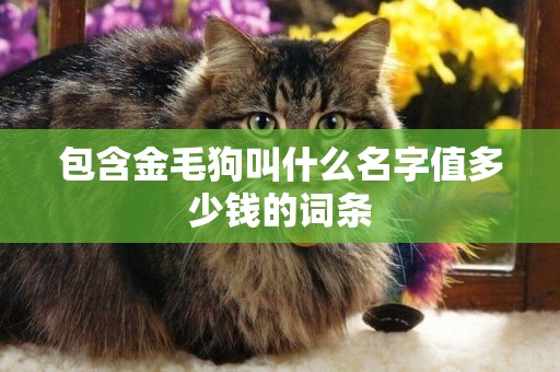 包含金毛狗叫什么名字值多少錢的詞條