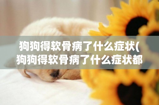 狗狗得軟骨病了什么癥狀(狗狗得軟骨病了什么癥狀都沒有)