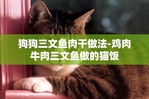 狗狗三文魚肉干做法-雞肉牛肉三文魚做的貓飯