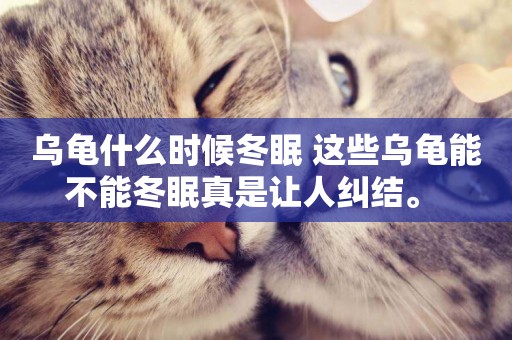 烏龜什么時候冬眠 這些烏龜能不能冬眠真是讓人糾結。 
