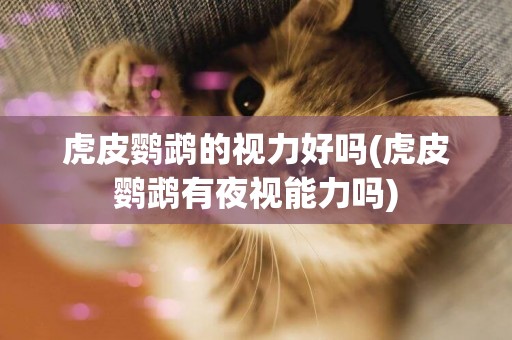 虎皮鸚鵡的視力好嗎(虎皮鸚鵡有夜視能力嗎)