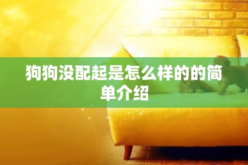 狗狗沒配起是怎么樣的的簡單介紹