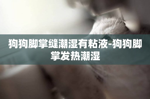 狗狗腳掌縫潮濕有粘液-狗狗腳掌發熱潮濕