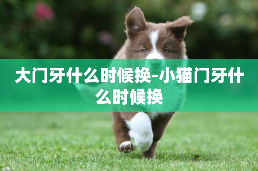 大門牙什么時候換-小貓門牙什么時候換