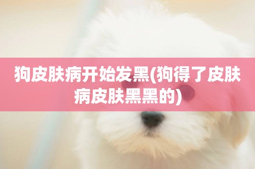 狗皮膚病開始發黑(狗得了皮膚病皮膚黑黑的)