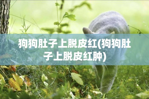 狗狗肚子上脫皮紅(狗狗肚子上脫皮紅腫)