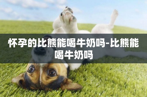 懷孕的比熊能喝牛奶嗎-比熊能喝牛奶嗎