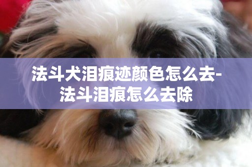 法斗犬淚痕跡顏色怎么去-法斗淚痕怎么去除