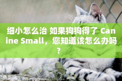 細小怎么治 如果狗狗得了 Canine Small，您知道該怎么辦嗎？ 