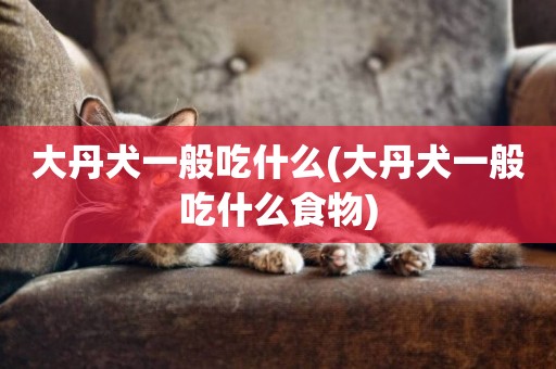大丹犬一般吃什么(大丹犬一般吃什么食物)