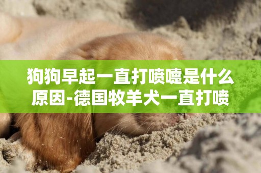 狗狗早起一直打噴嚏是什么原因-德國牧羊犬一直打噴嚏是什么原因