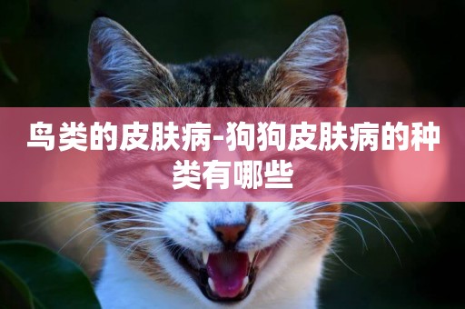 鳥類的皮膚病-狗狗皮膚病的種類有哪些