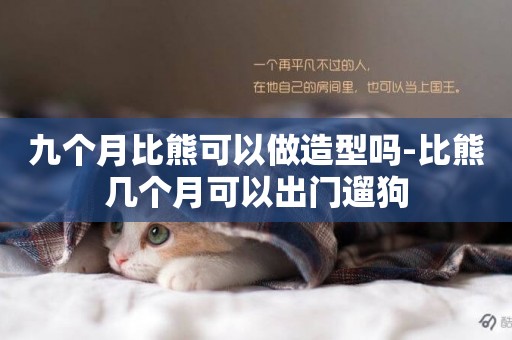 九個月比熊可以做造型嗎-比熊幾個月可以出門遛狗