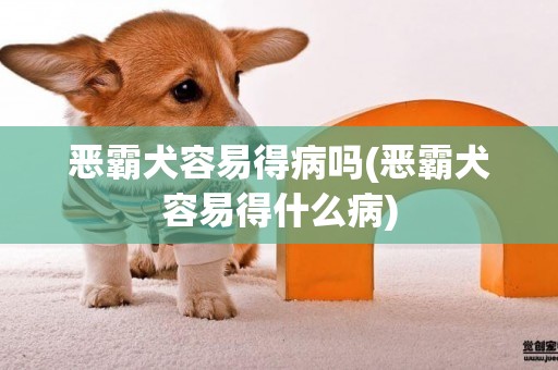 惡霸犬容易得病嗎(惡霸犬容易得什么病)