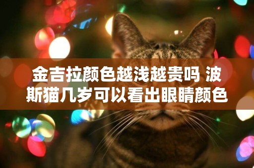 金吉拉顏色越淺越貴嗎 波斯貓幾歲可以看出眼睛顏色-波斯貓眼睛變色（7月更新） 