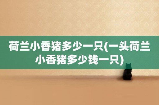 荷蘭小香豬多少一只(一頭荷蘭小香豬多少錢一只)