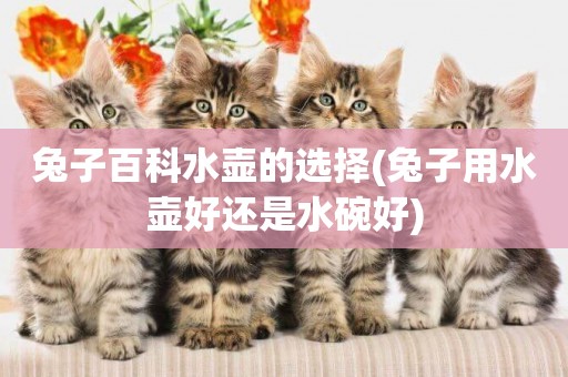 兔子百科水壺的選擇(兔子用水壺好還是水碗好)