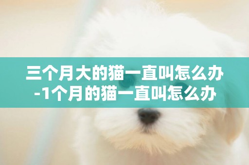 三個月大的貓一直叫怎么辦-1個月的貓一直叫怎么辦