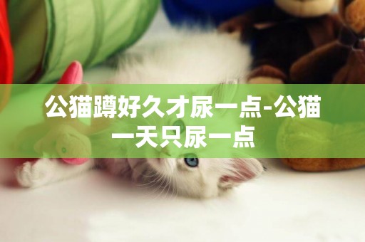 公貓蹲好久才尿一點-公貓一天只尿一點