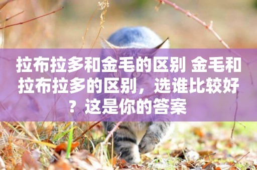 拉布拉多和金毛的區別 金毛和拉布拉多的區別，選誰比較好？這是你的答案 