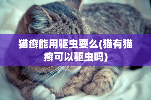 貓癬能用驅蟲要么(貓有貓癬可以驅蟲嗎)