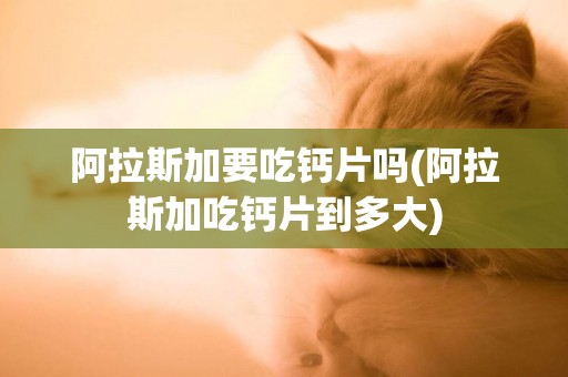 阿拉斯加要吃鈣片嗎(阿拉斯加吃鈣片到多大)