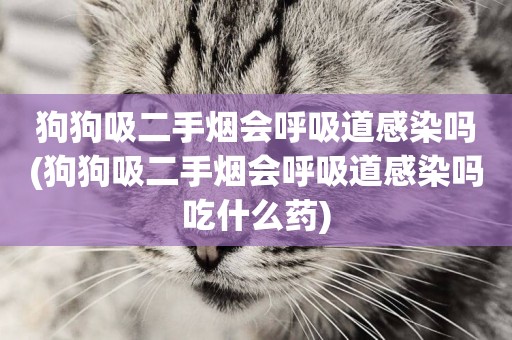 狗狗吸二手煙會呼吸道感染嗎(狗狗吸二手煙會呼吸道感染嗎吃什么藥)
