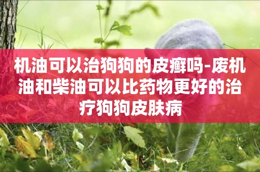 機油可以治狗狗的皮癬嗎-廢機油和柴油可以比藥物更好的治療狗狗皮膚病