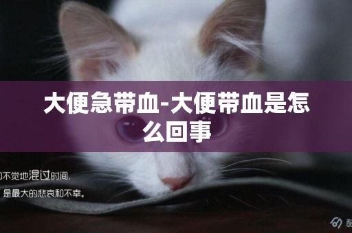 大便急帶血-大便帶血是怎么回事