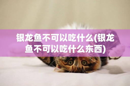 銀龍魚不可以吃什么(銀龍魚不可以吃什么東西)