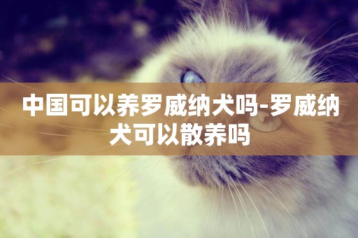 中國可以養羅威納犬嗎-羅威納犬可以散養嗎