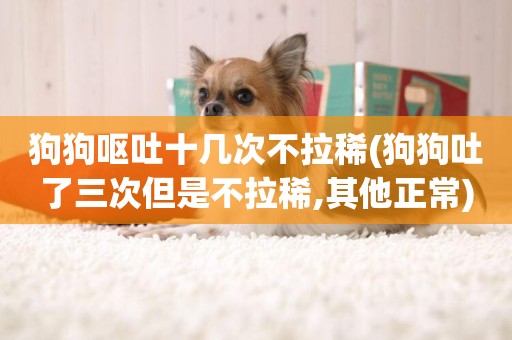 狗狗嘔吐十幾次不拉稀(狗狗吐了三次但是不拉稀,其他正常)