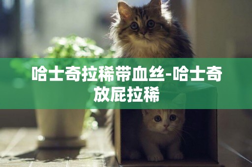 哈士奇拉稀帶血絲-哈士奇放屁拉稀