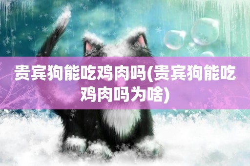 貴賓狗能吃雞肉嗎(貴賓狗能吃雞肉嗎為啥)