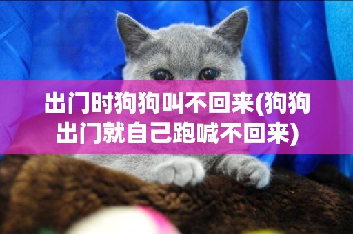 出門時狗狗叫不回來(狗狗出門就自己跑喊不回來)