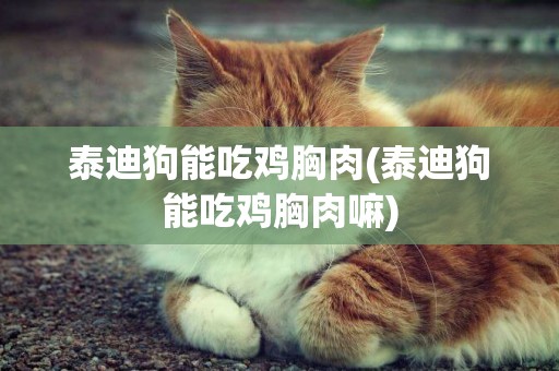泰迪狗能吃雞胸肉(泰迪狗能吃雞胸肉嘛)