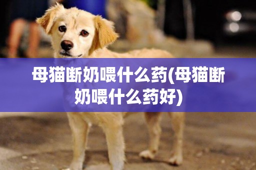 母貓斷奶喂什么藥(母貓斷奶喂什么藥好)