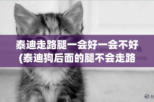泰迪走路腿一會好一會不好(泰迪狗后面的腿不會走路是怎么了)