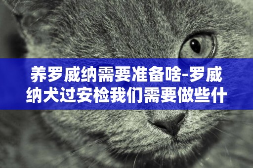 養羅威納需要準備啥-羅威納犬過安檢我們需要做些什么準備