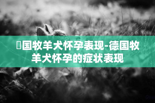 徳國牧羊犬懷孕表現-德國牧羊犬懷孕的癥狀表現