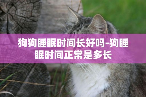 狗狗睡眠時間長好嗎-狗睡眠時間正常是多長