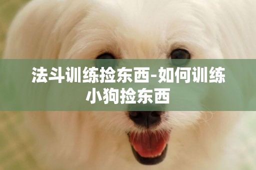 法斗訓練撿東西-如何訓練小狗撿東西