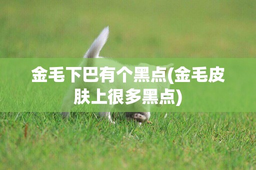 金毛下巴有個黑點(金毛皮膚上很多黑點)