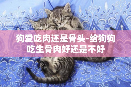 狗愛吃肉還是骨頭-給狗狗吃生骨肉好還是不好