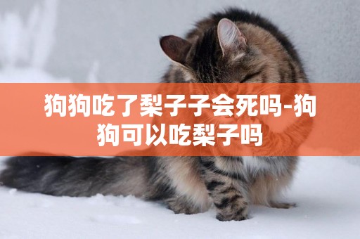 狗狗吃了梨子子會死嗎-狗狗可以吃梨子嗎