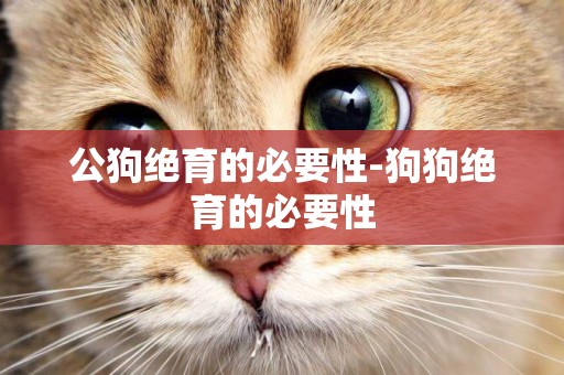 公狗絕育的必要性-狗狗絕育的必要性