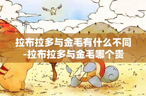 拉布拉多與金毛有什么不同-拉布拉多與金毛哪個貴